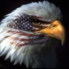 TRUMPVANCESAVINGAMERICA avatar