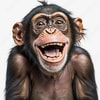 noonDemocrats1 avatar